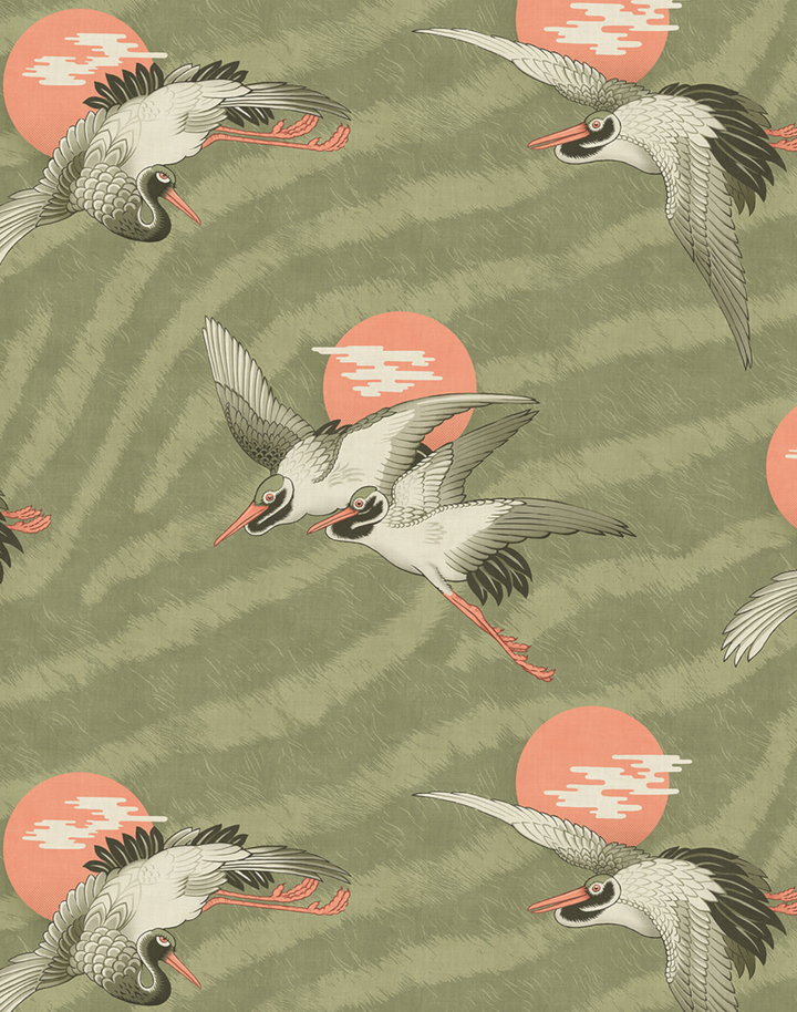 Sunset Dreams, Martini Olive