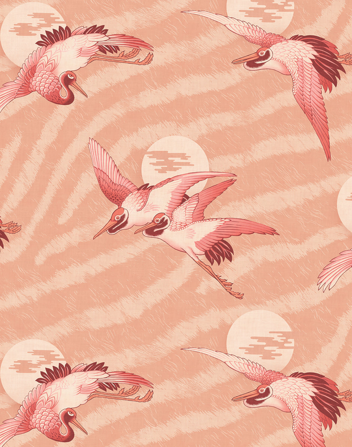 Sunset Dreams, Peach Paloma