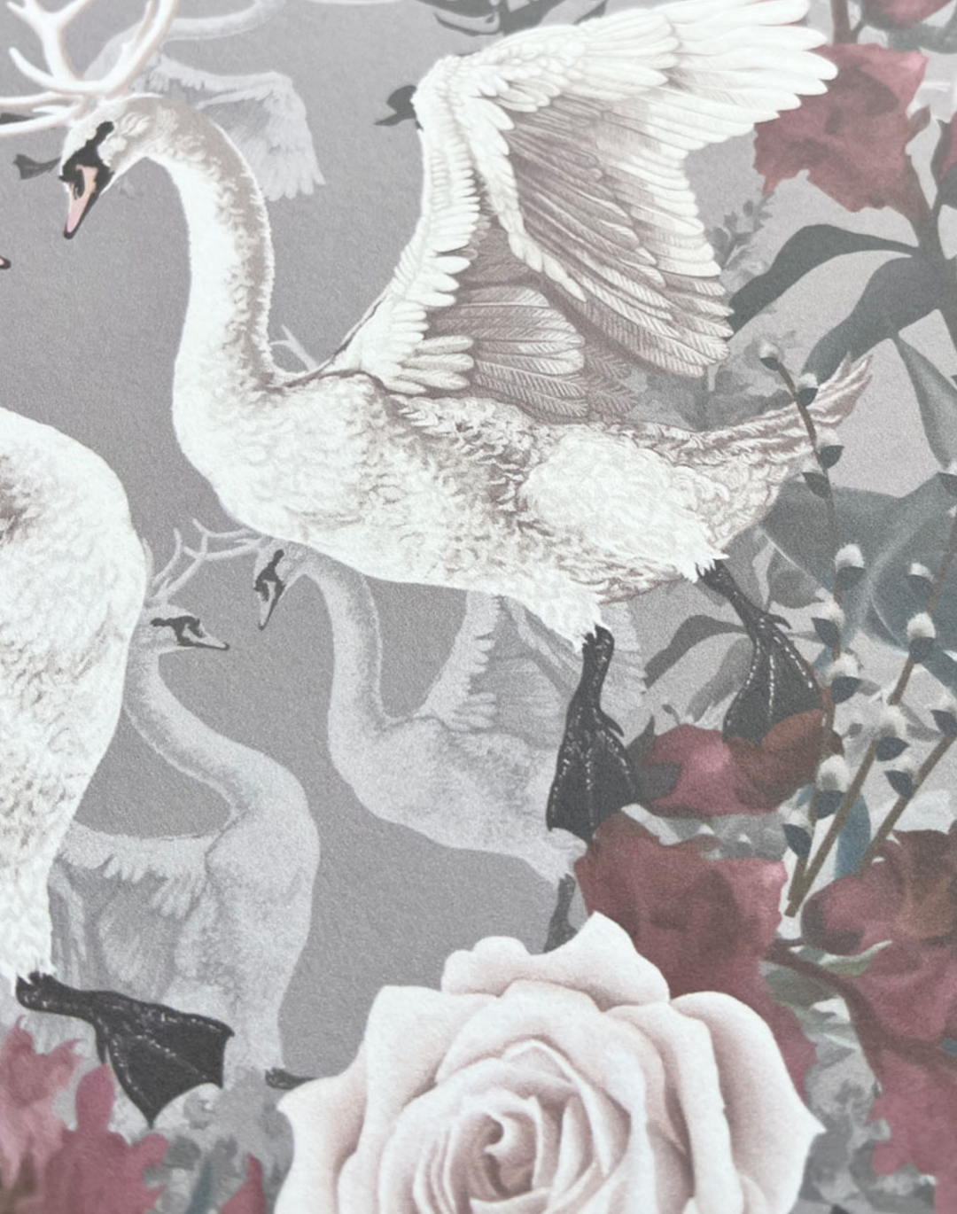 Swan Song, Ballerina