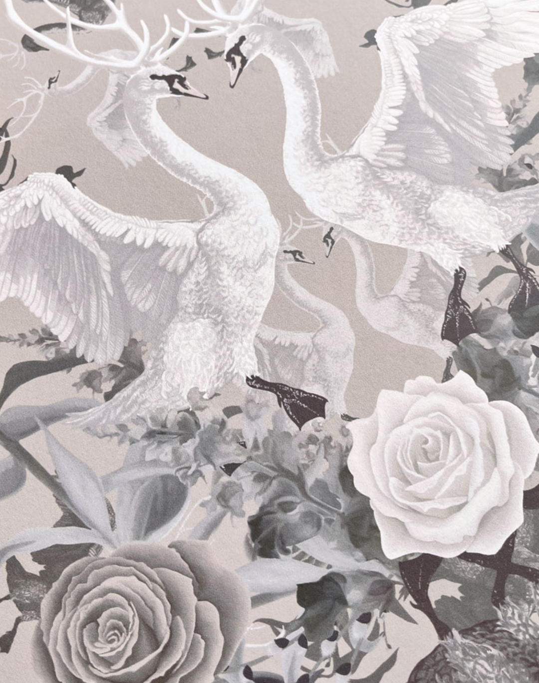 Swan Song, Taffeta