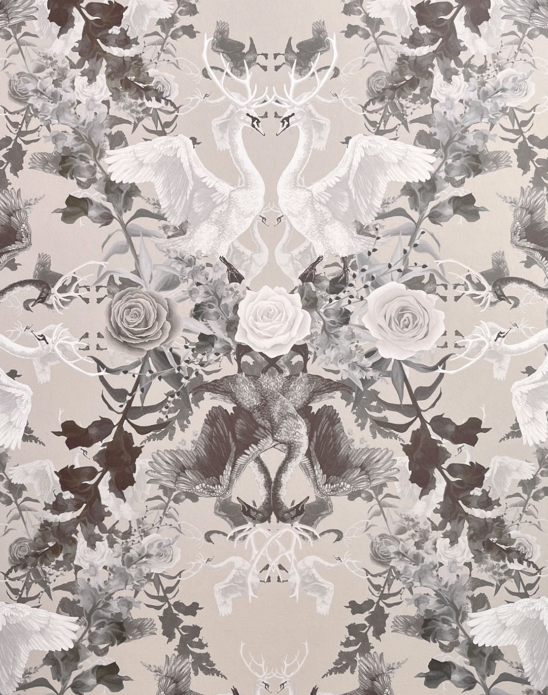 Swan Song, Taffeta