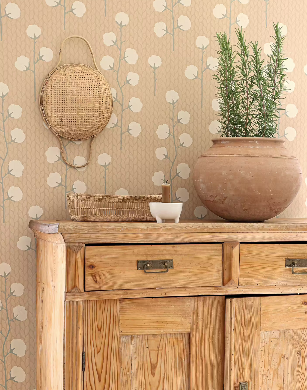 Sweet Cotton, Desert Rose 169-01