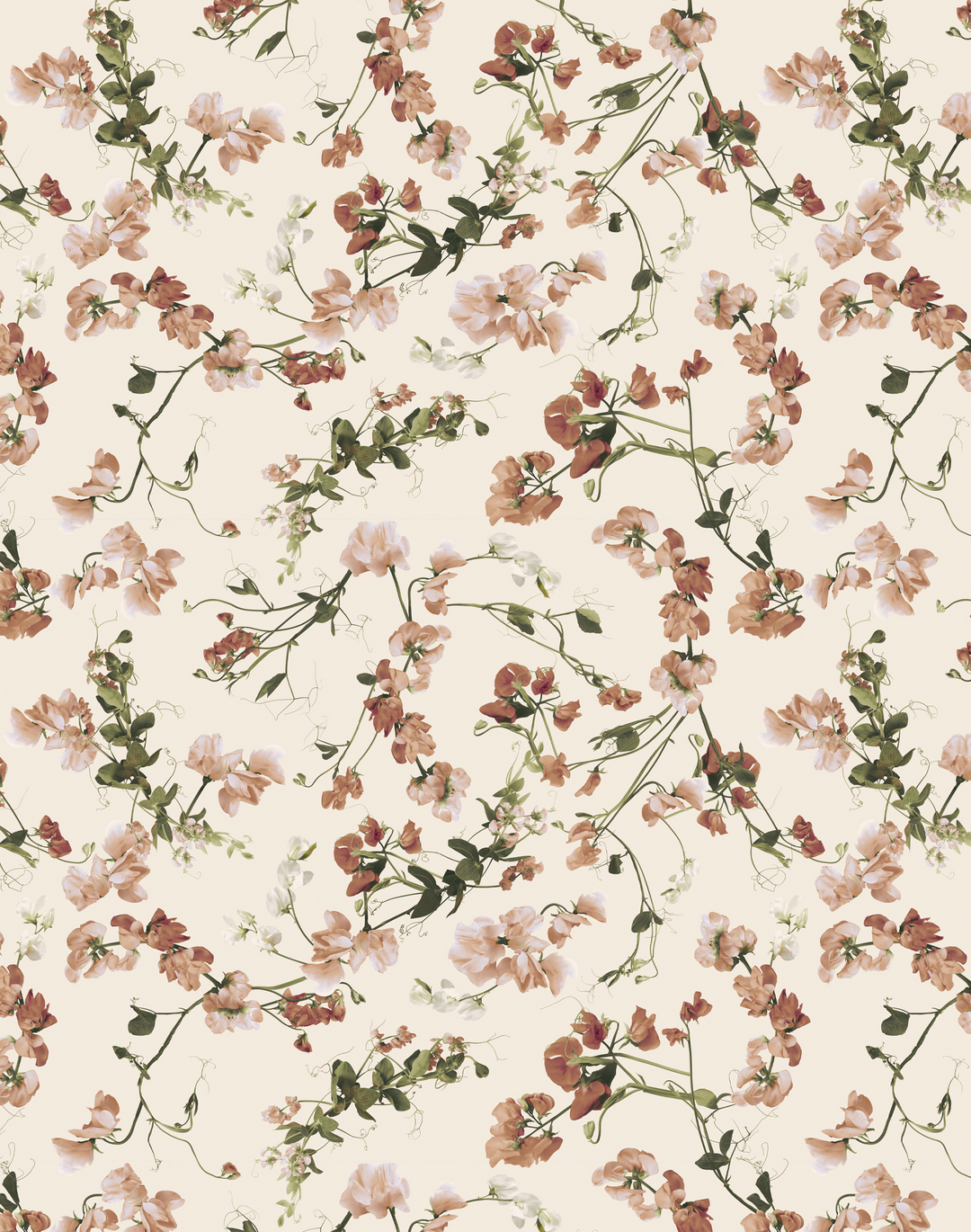 Sweet Pea, Antique