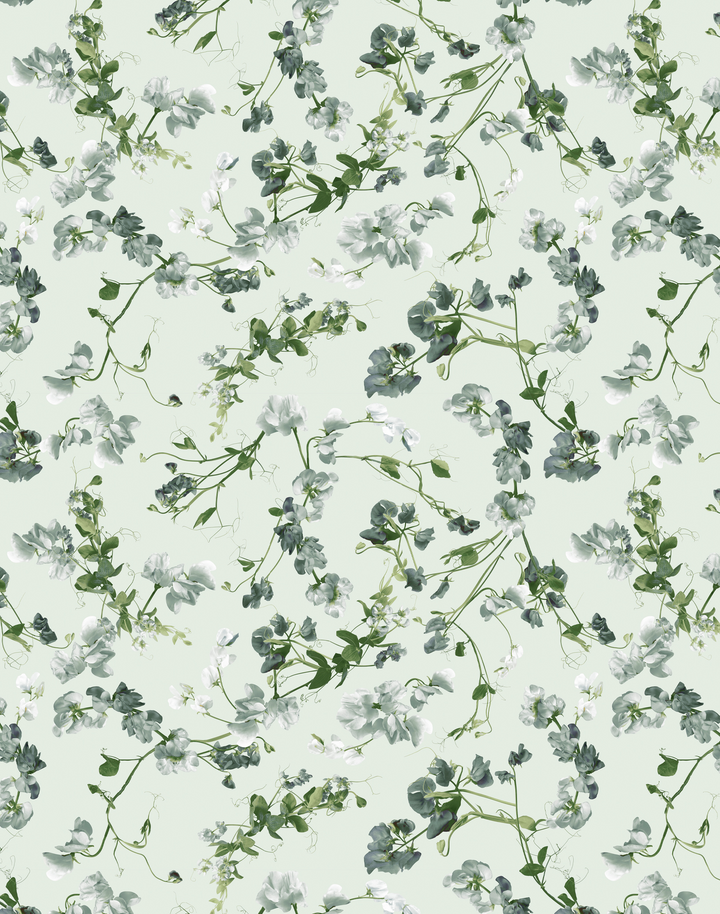 Sweet Pea, Mint