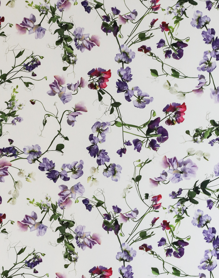 Sweet Pea, Natural