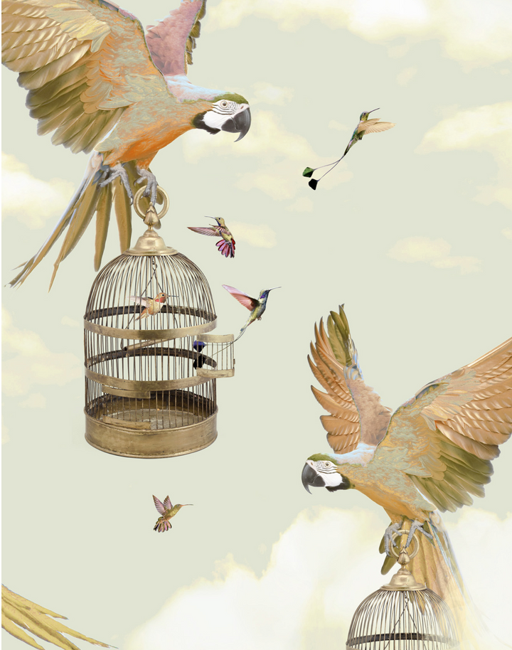 The Great Escape, Light Sage