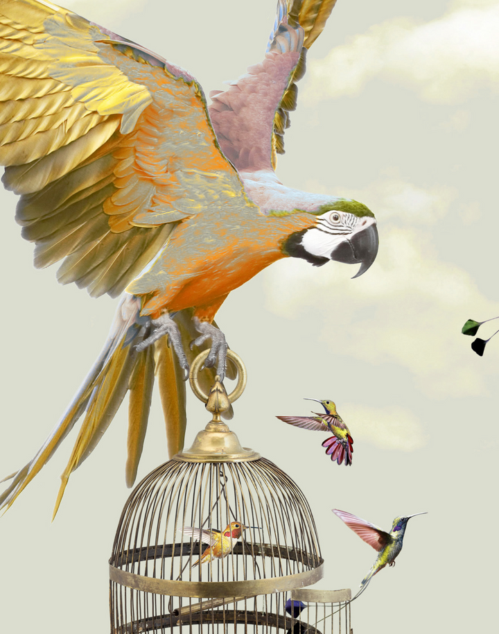 The Great Escape, Light Sage