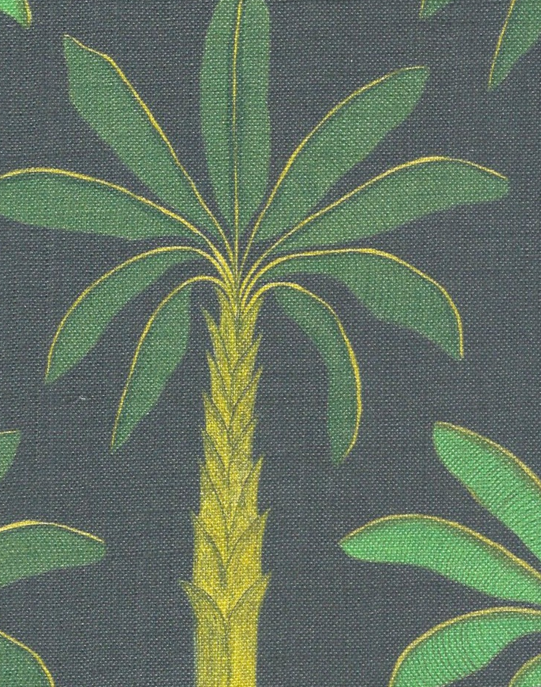 Tropical Fabric, Carbon