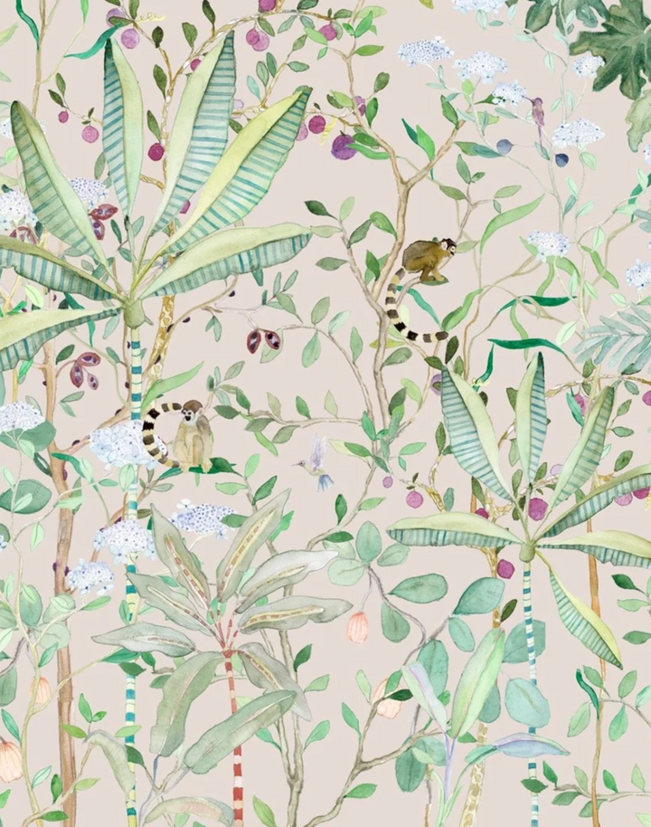 Tropicalia Berry, Panoramic