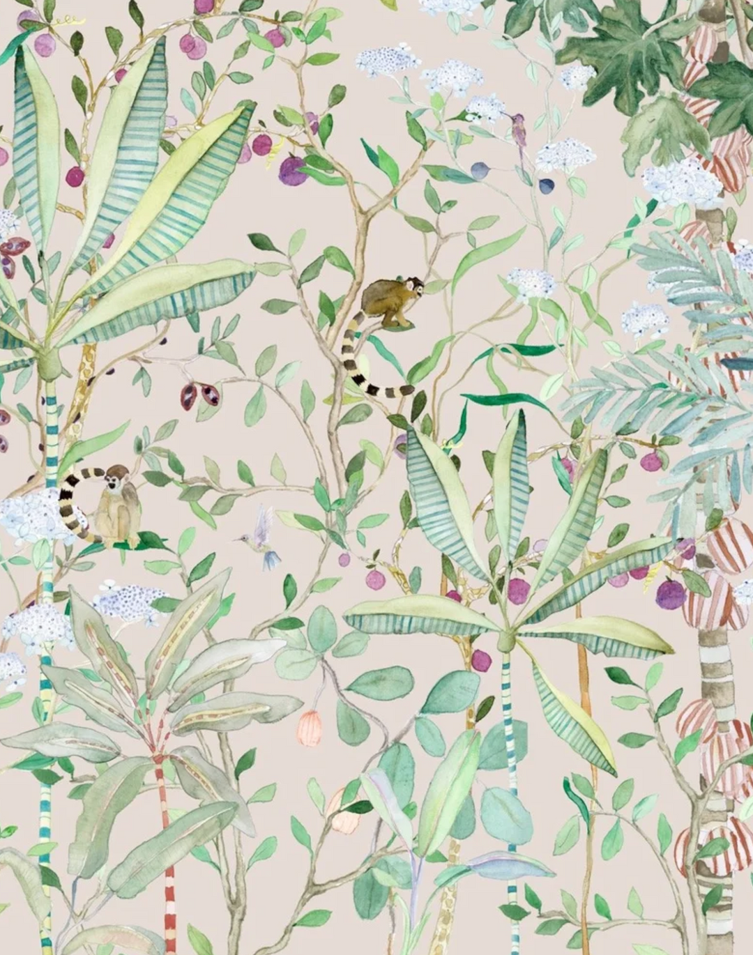 Tropicalia Berry, Sisal Panoramic