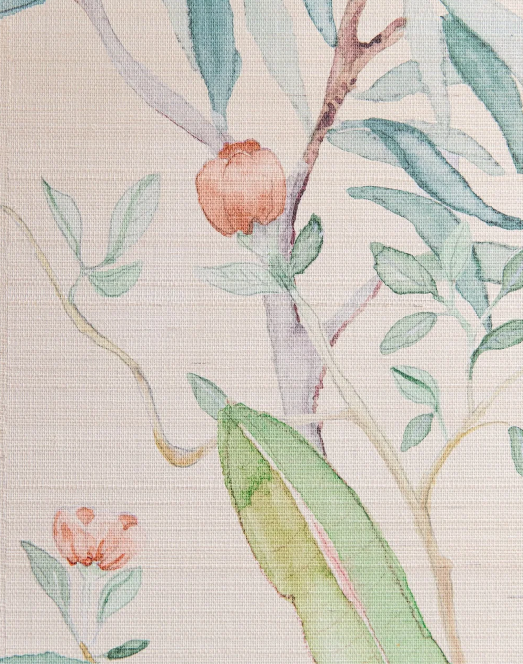 Ubatuba Nude, Sisal Panoramic