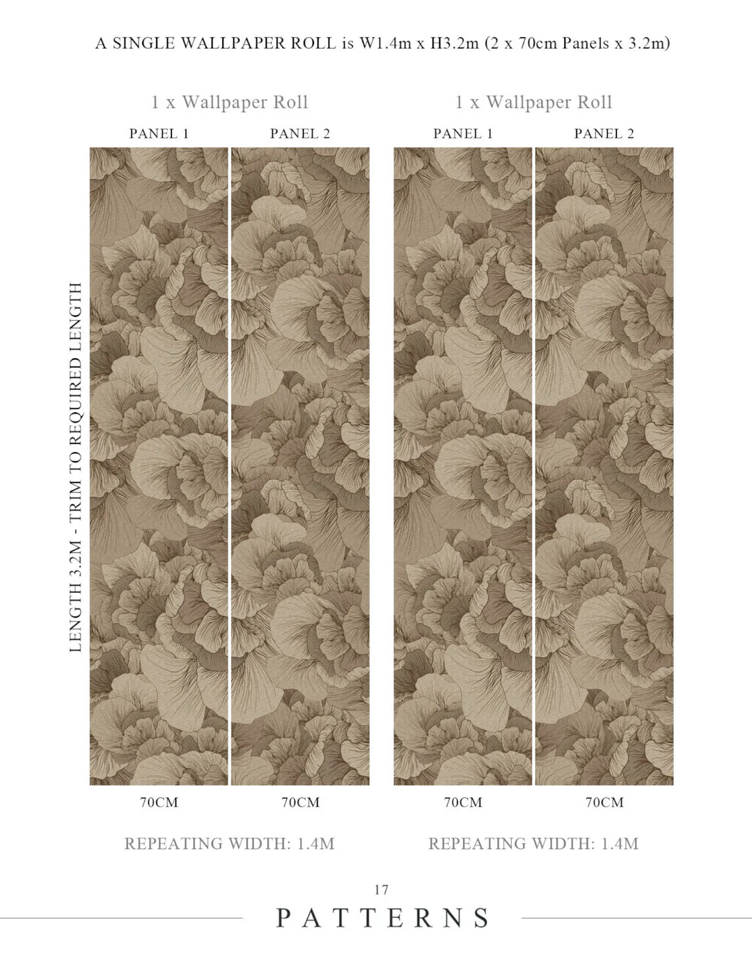 Venation, Champagne