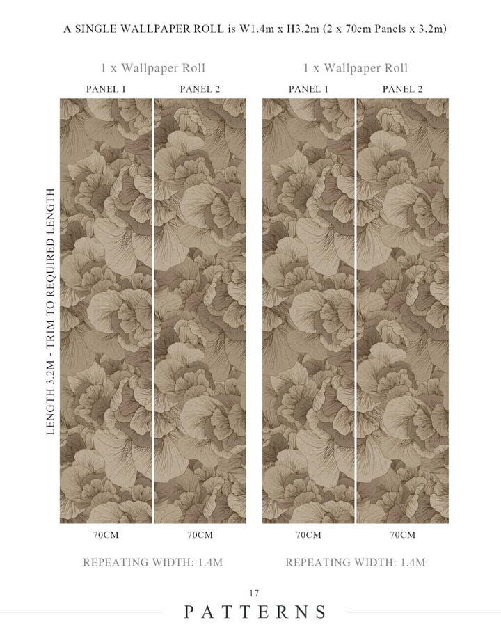 Venation, Champagne