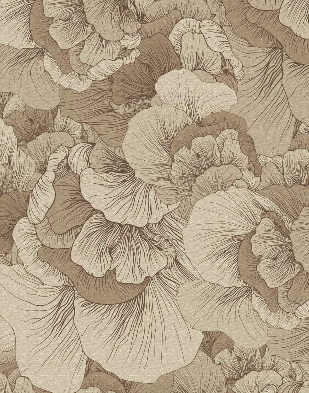 Venation, Champagne