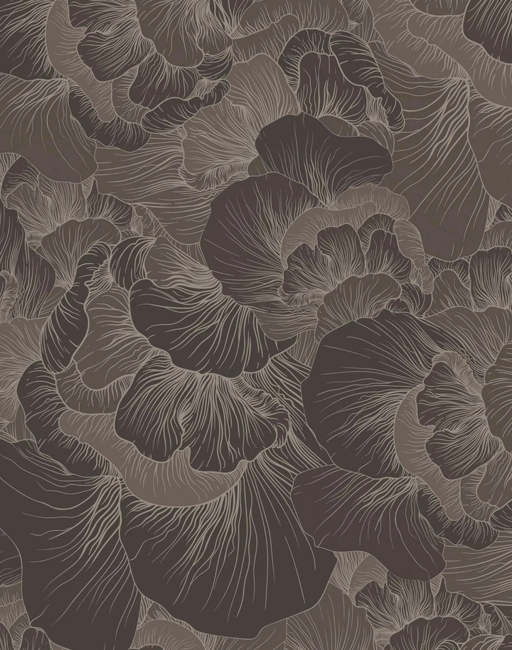 Venation, Chocolate