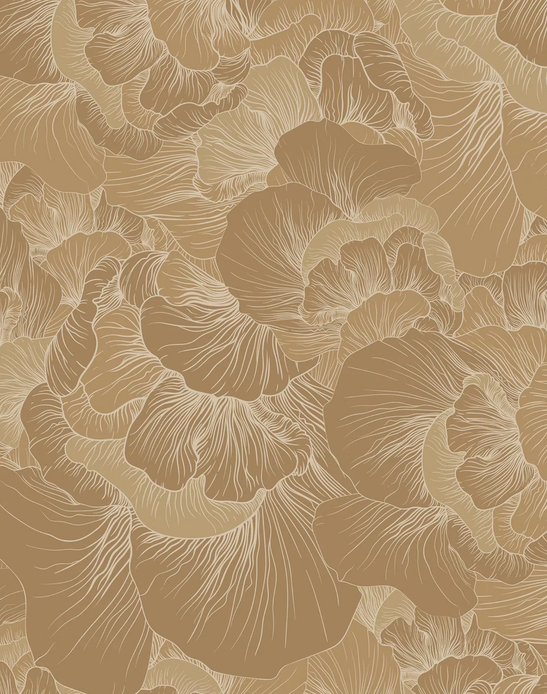 Venation, Caramel