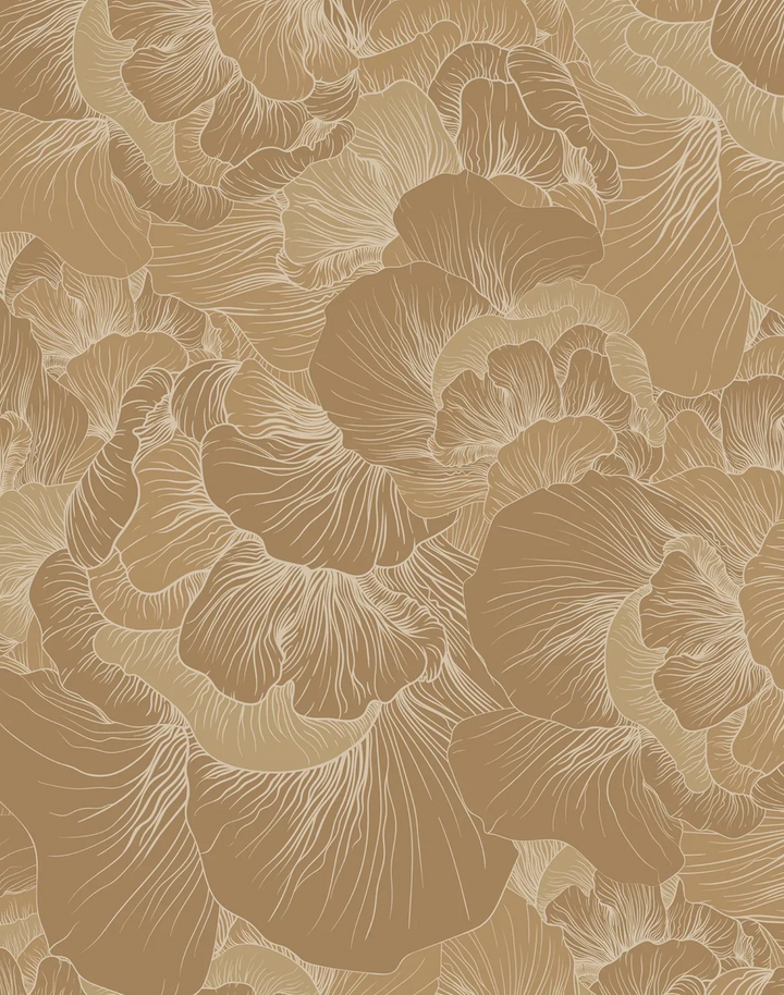 Venation, Caramel