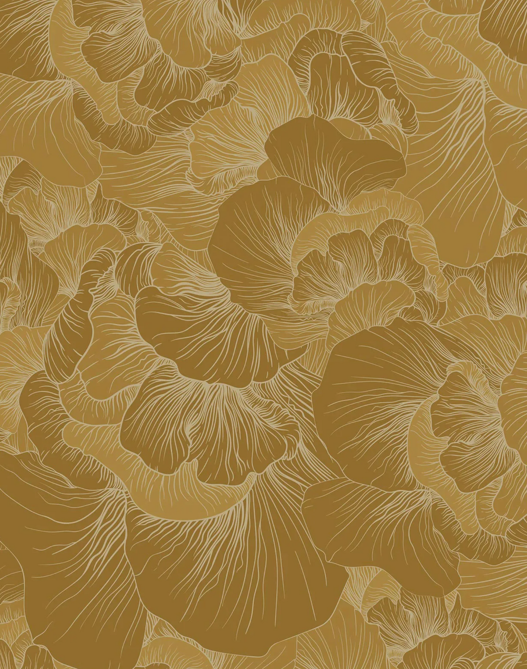 Venation, Mustard