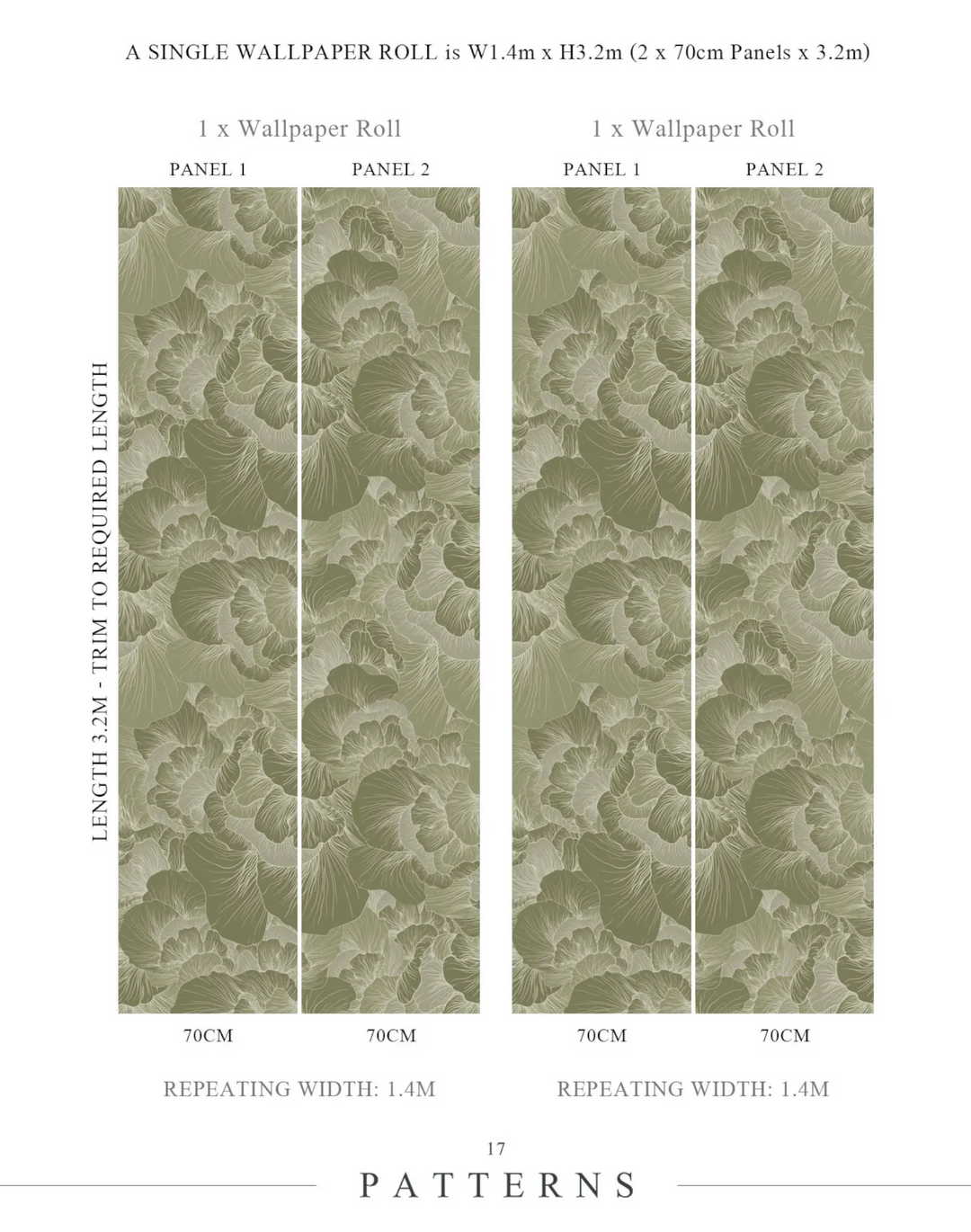 Venation, Olive