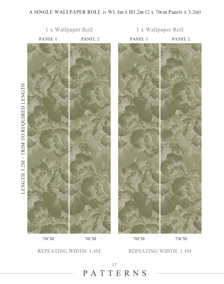 Venation, Olive