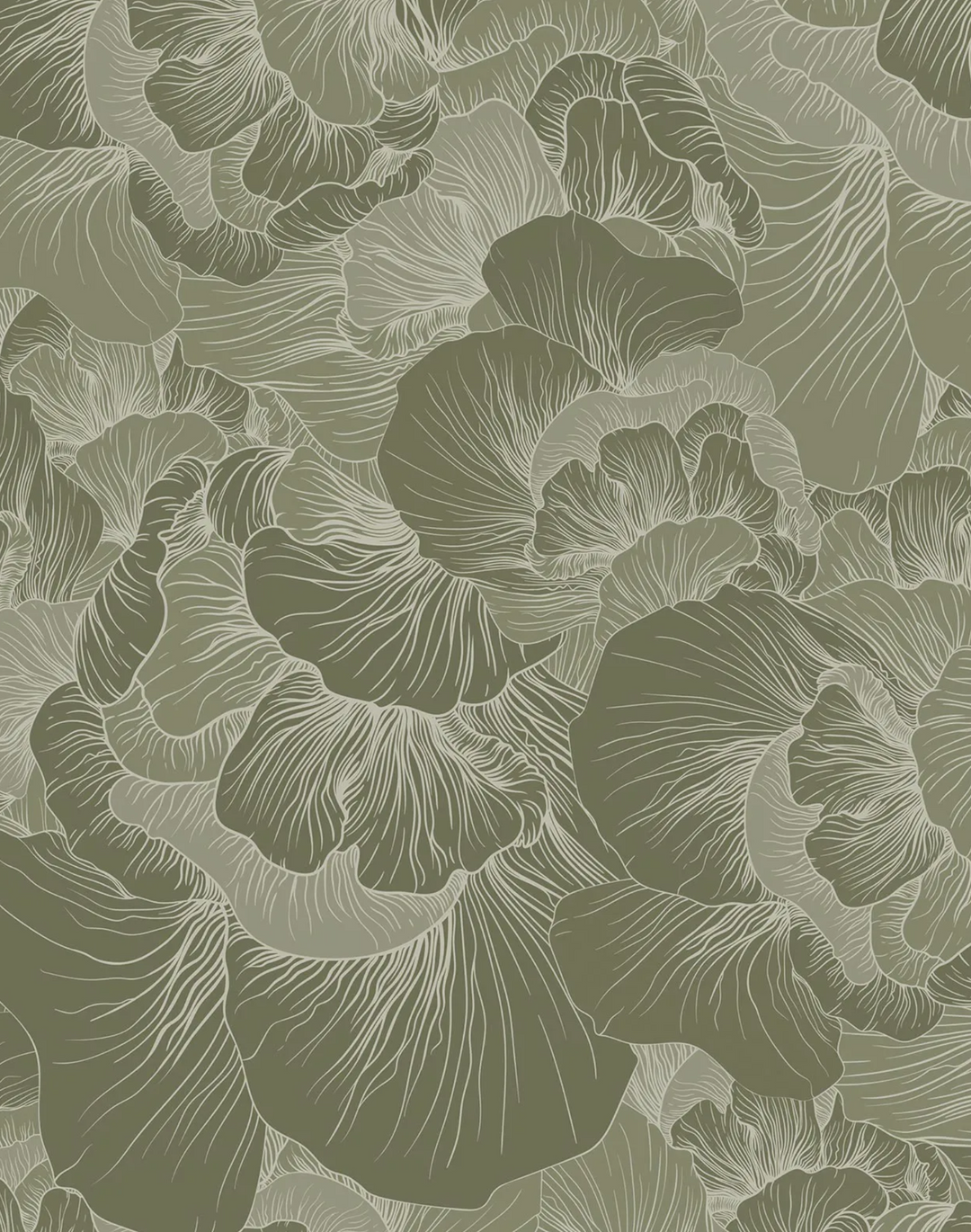 Venation, Olive