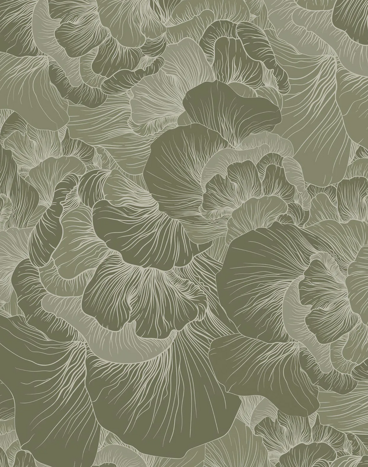 Venation, Olive