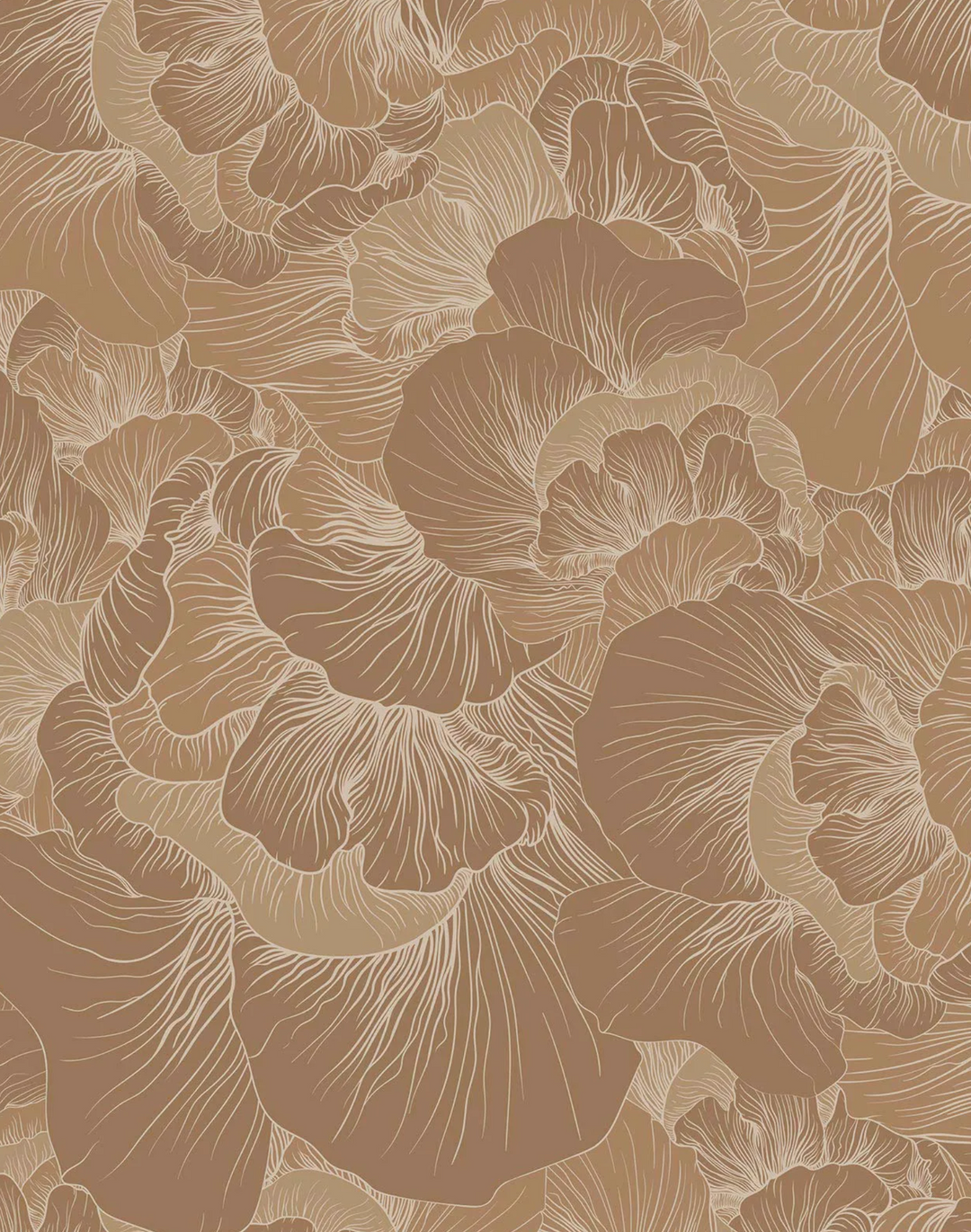 Venation, Toffee