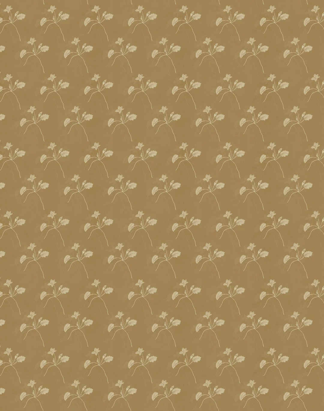 Water Bloom, Bose Pear WPLN0200