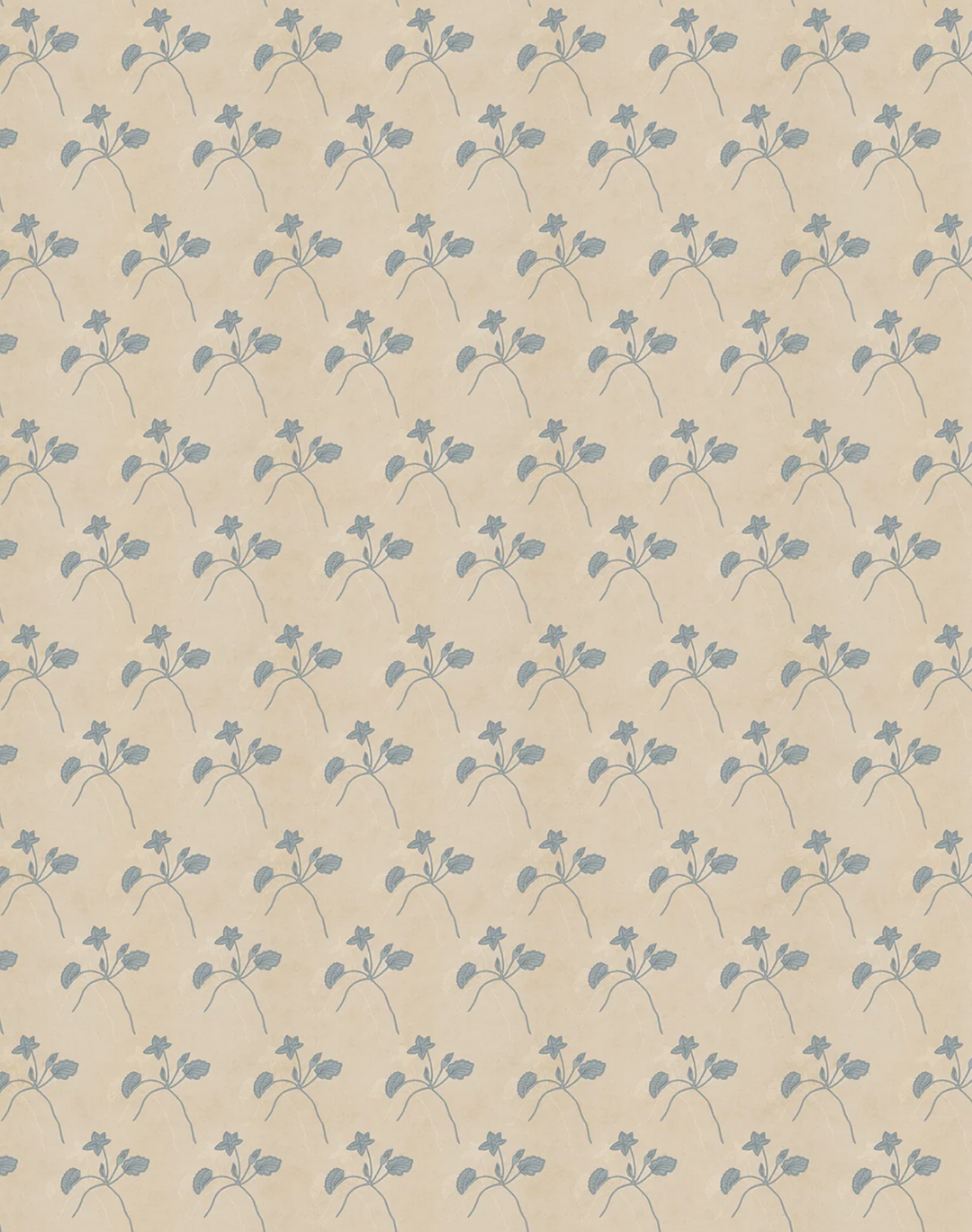 Water Bloom, Cashmere WPLN0197