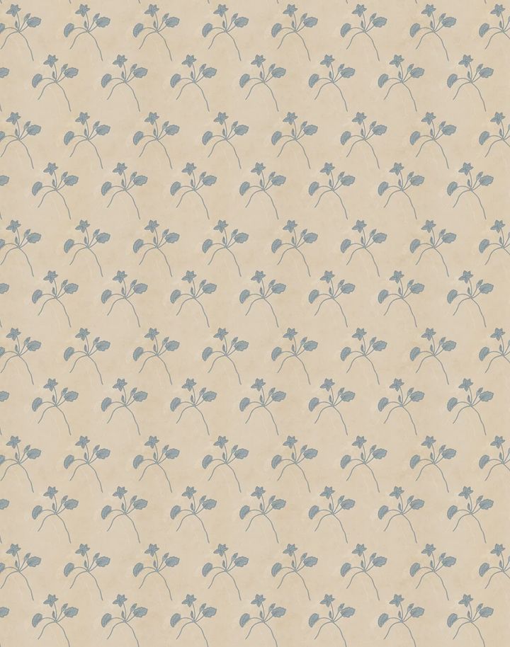 Water Bloom, Cashmere WPLN0197