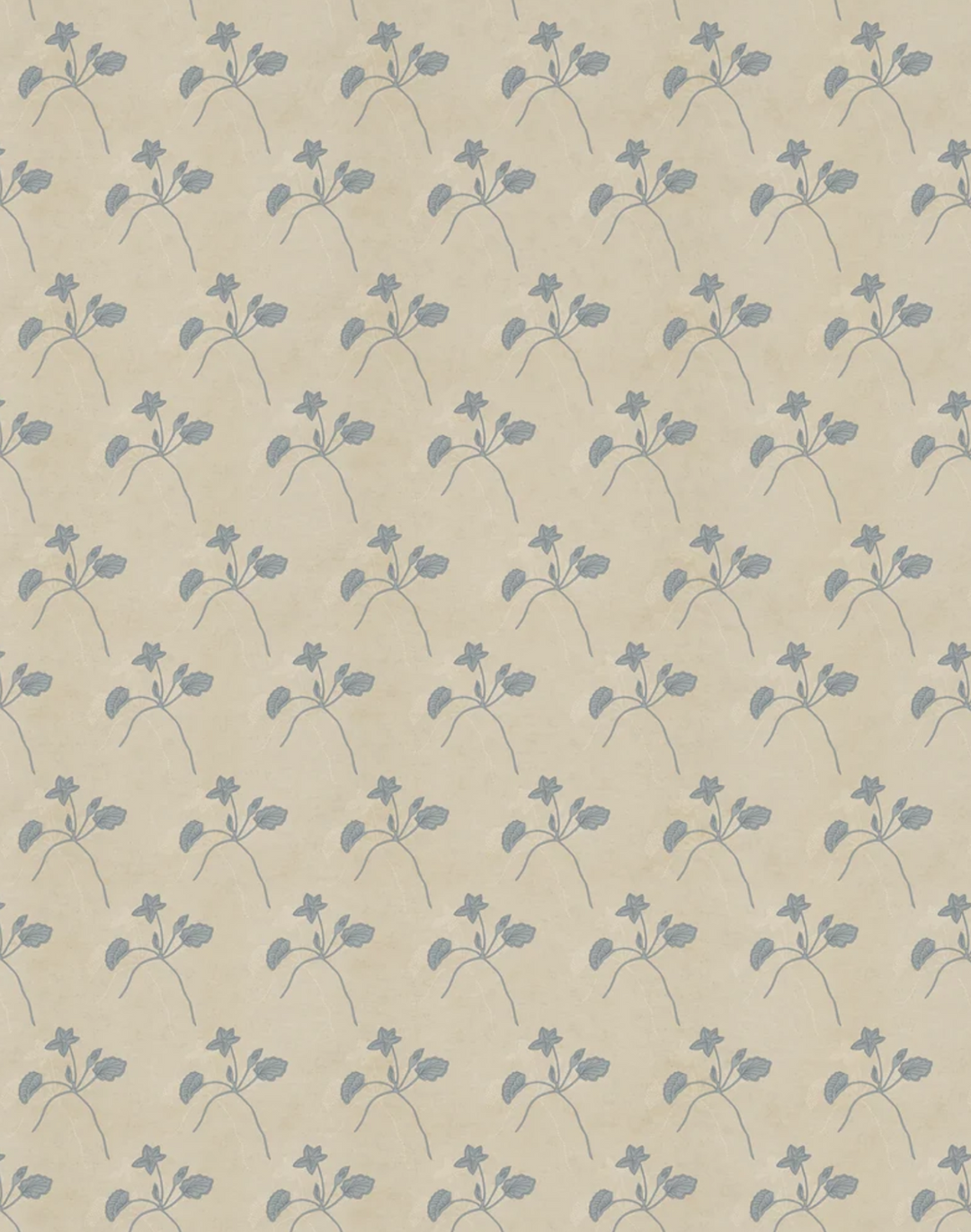 Water Bloom, Cashmere WPLN0197