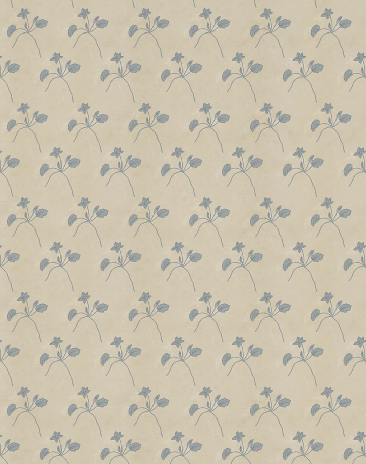 Water Bloom, Cashmere WPLN0197