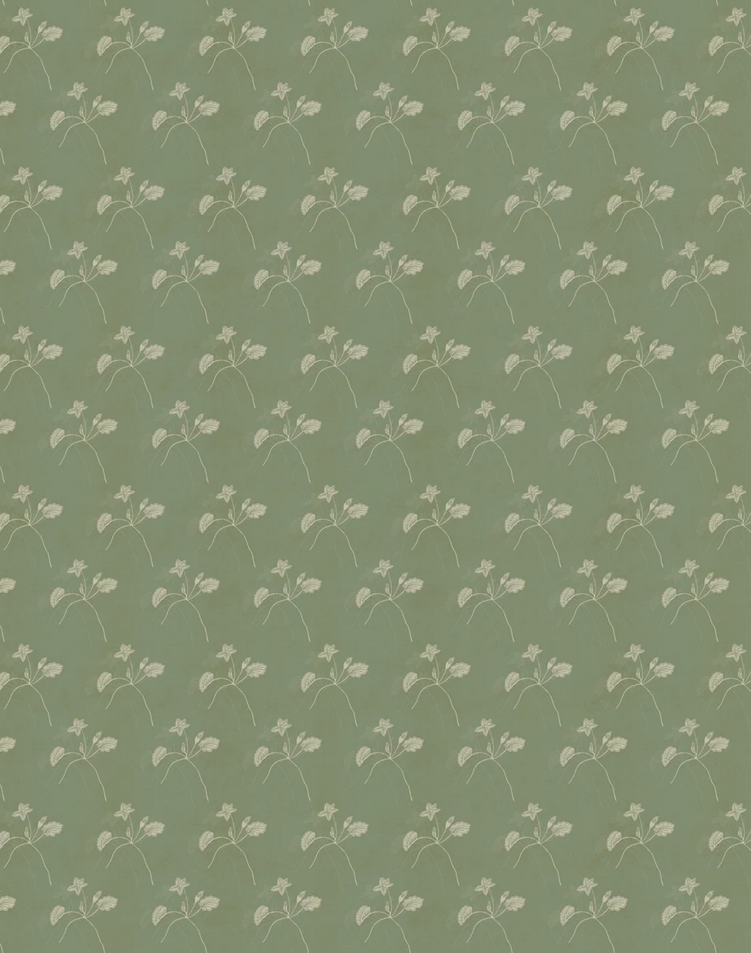 Water Bloom, Pigeon WPLN0199