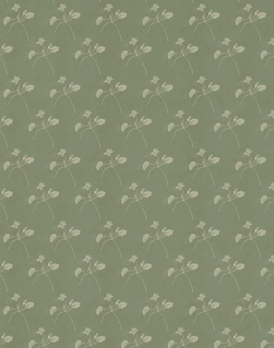 Water Bloom, Pigeon WPLN0199