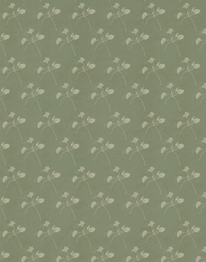 Water Bloom, Pigeon WPLN0199