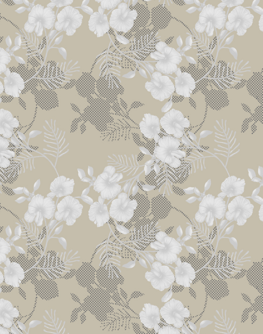 Wedge-Pea Wild Flower, Ivory on Sand
