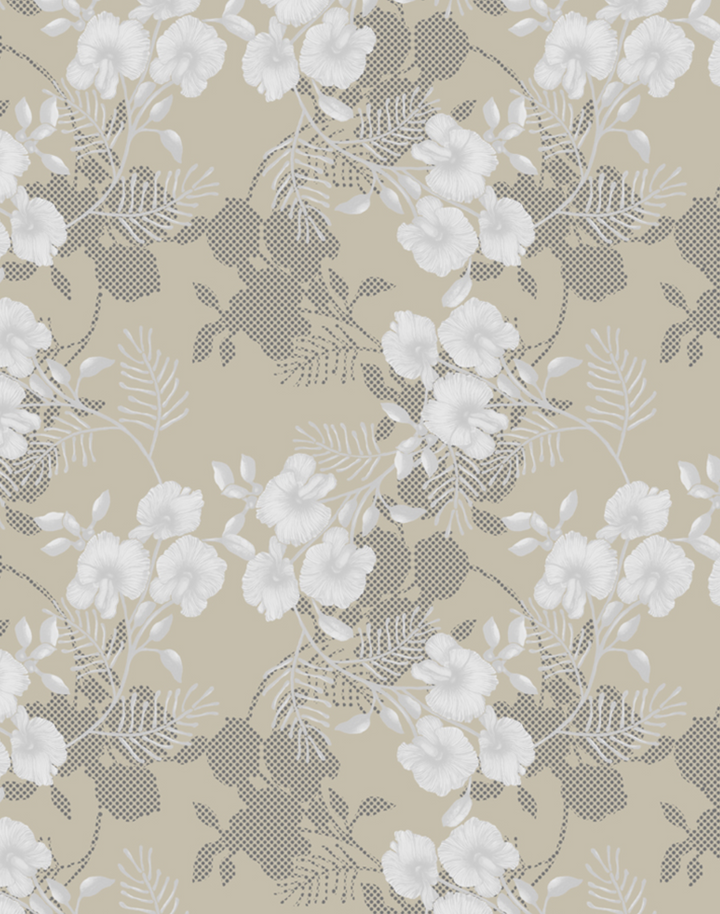 Wedge-Pea Wild Flower, Ivory on Sand