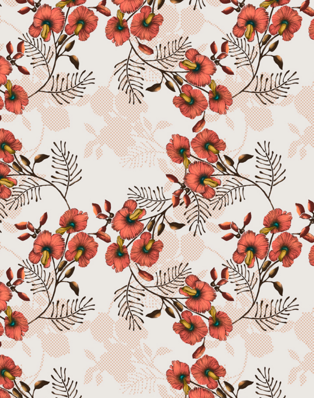 Wedge-Pea Wild Flower, Orange on Cream