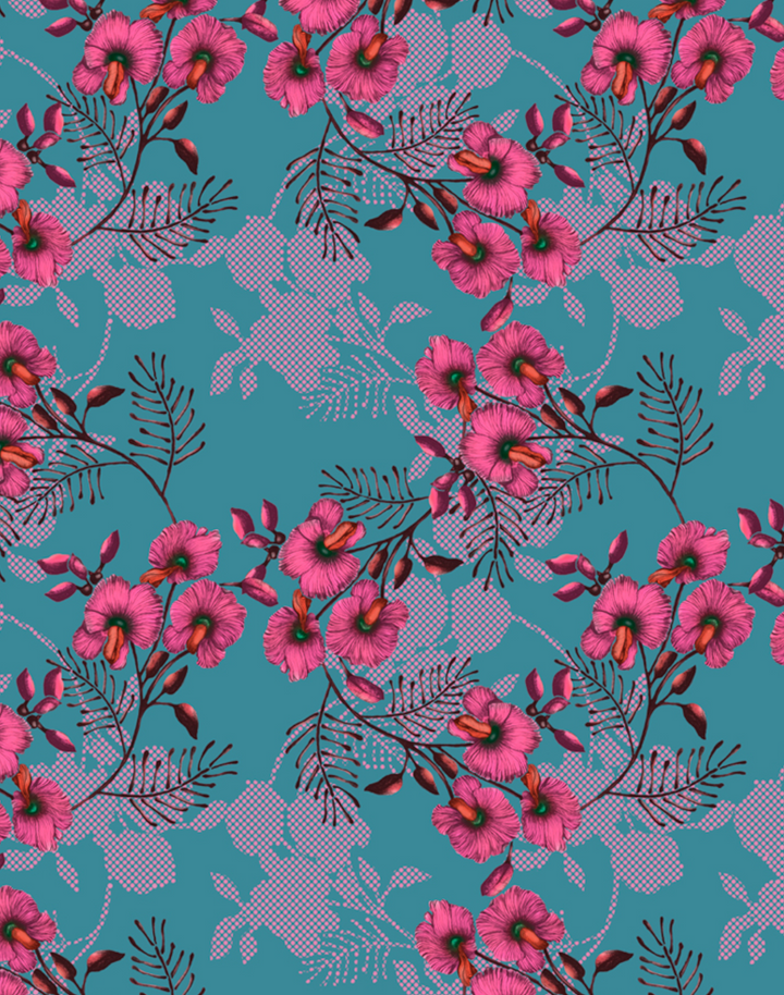 Wedge-Pea Wild Flower, Pink on Ocean Blue