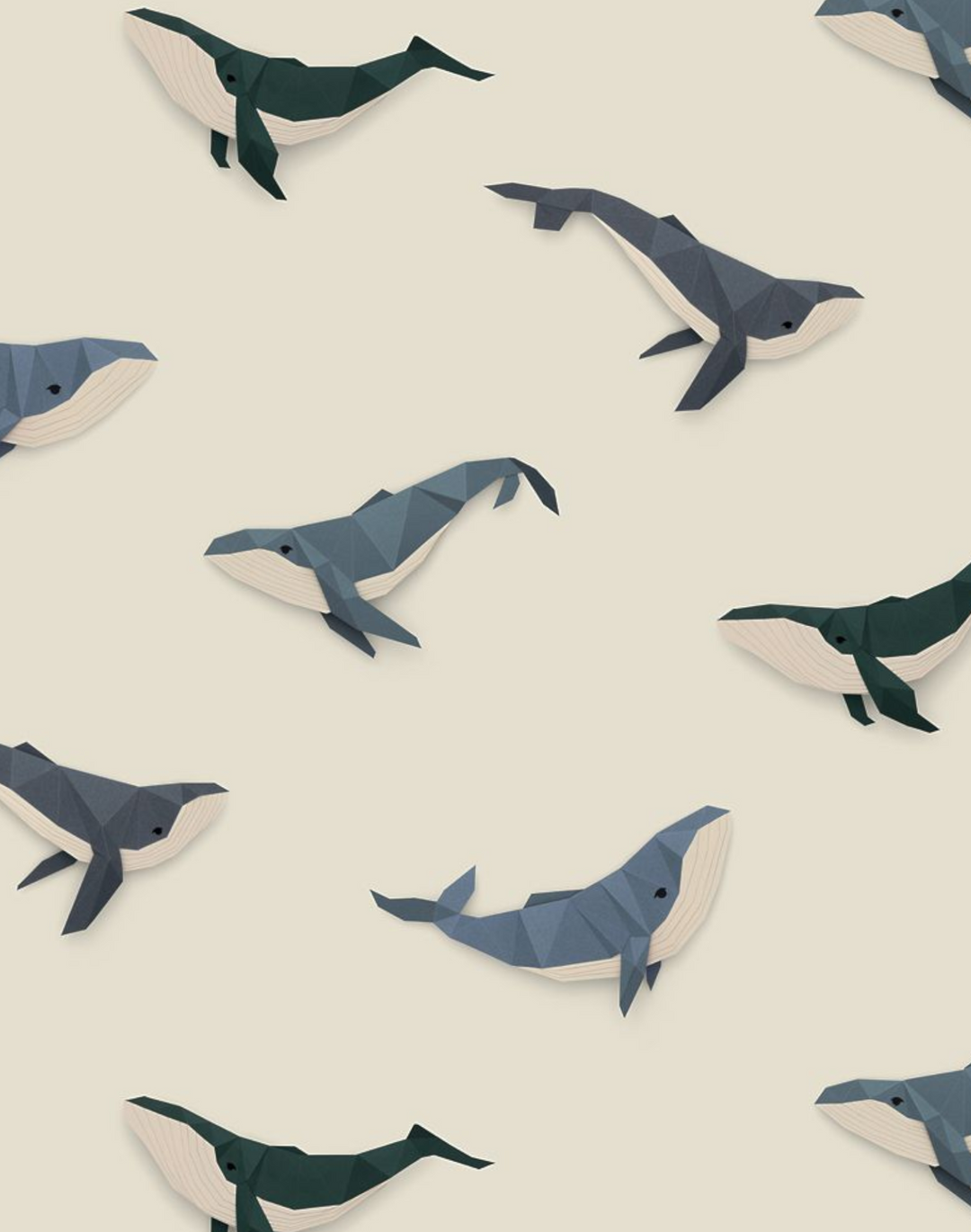 Whale, Cream