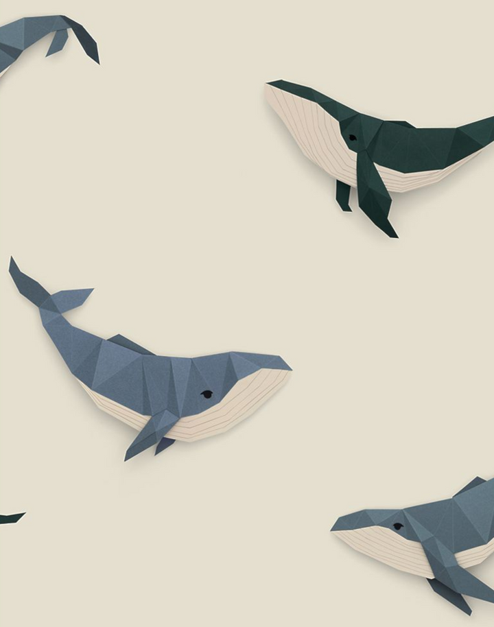 Whale, Cream