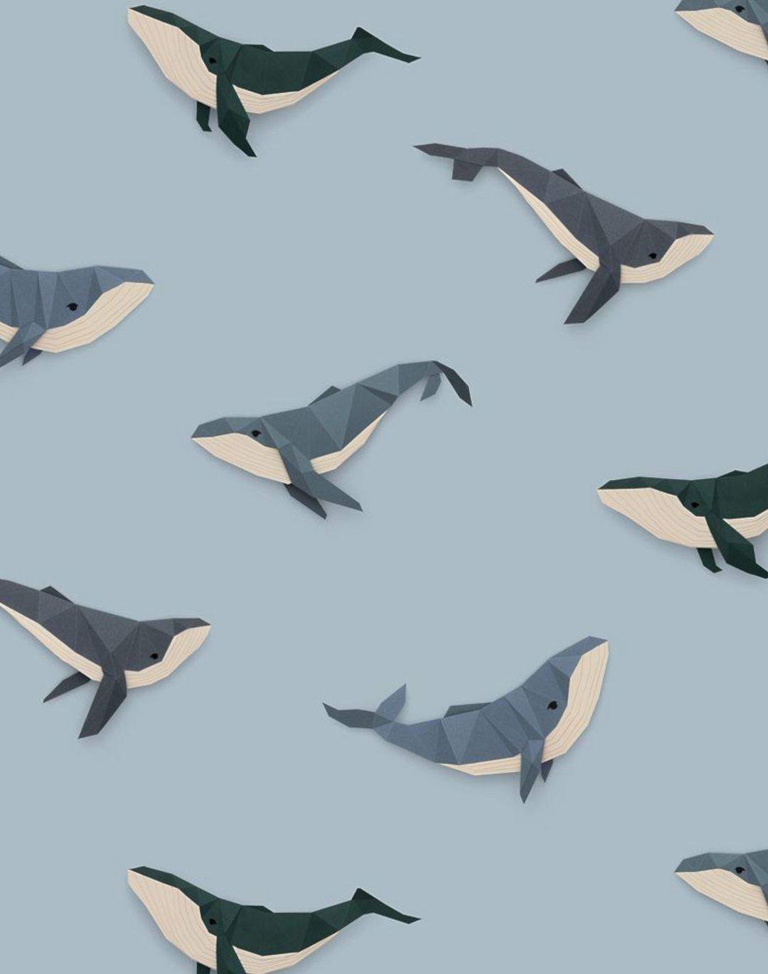 Whale, Light Blue