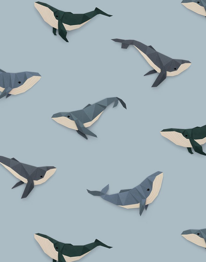 Whale, Light Blue