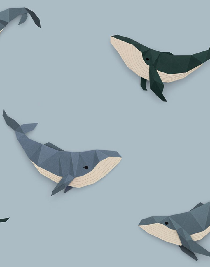 Whale, Light Blue