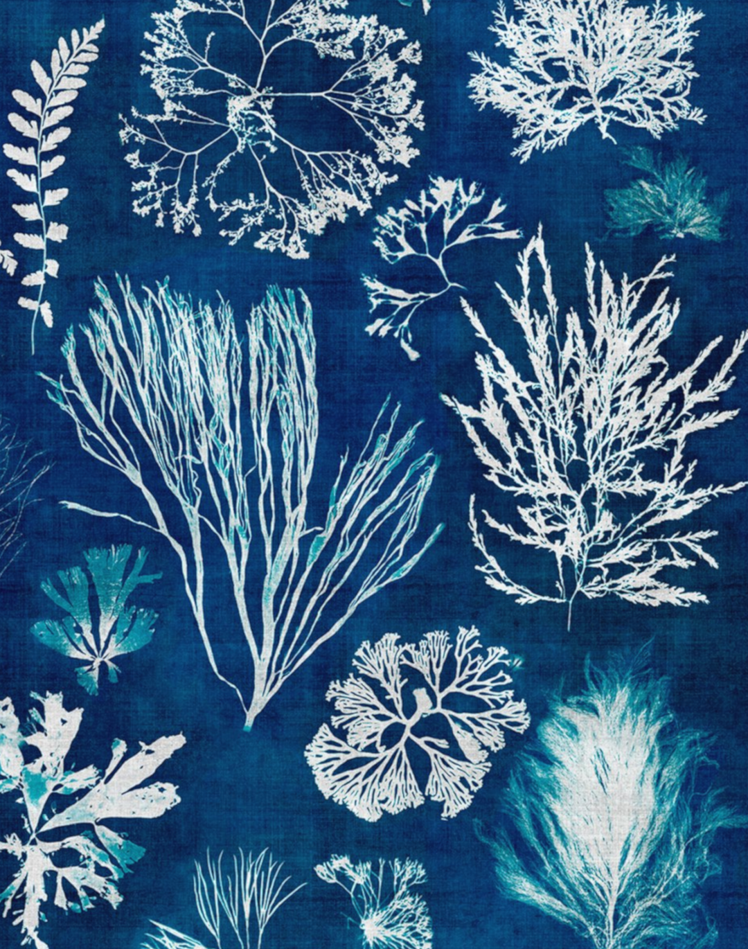 Eco Chic Wallpaper Zeeko Floral Peel And Stick Wallpaper Removable