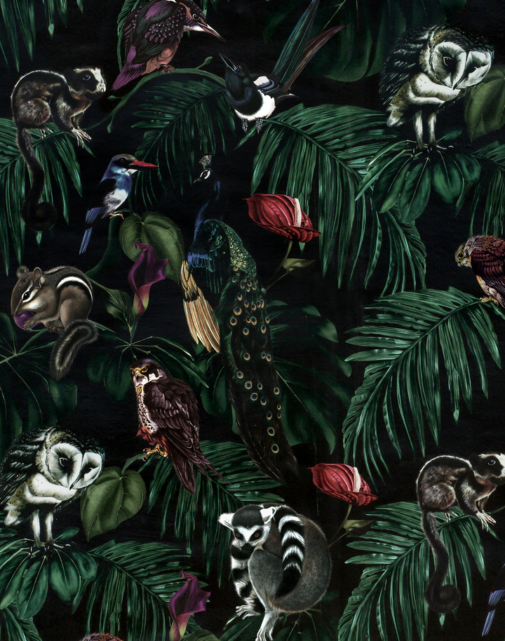 Amazonia Dark Wallpaper