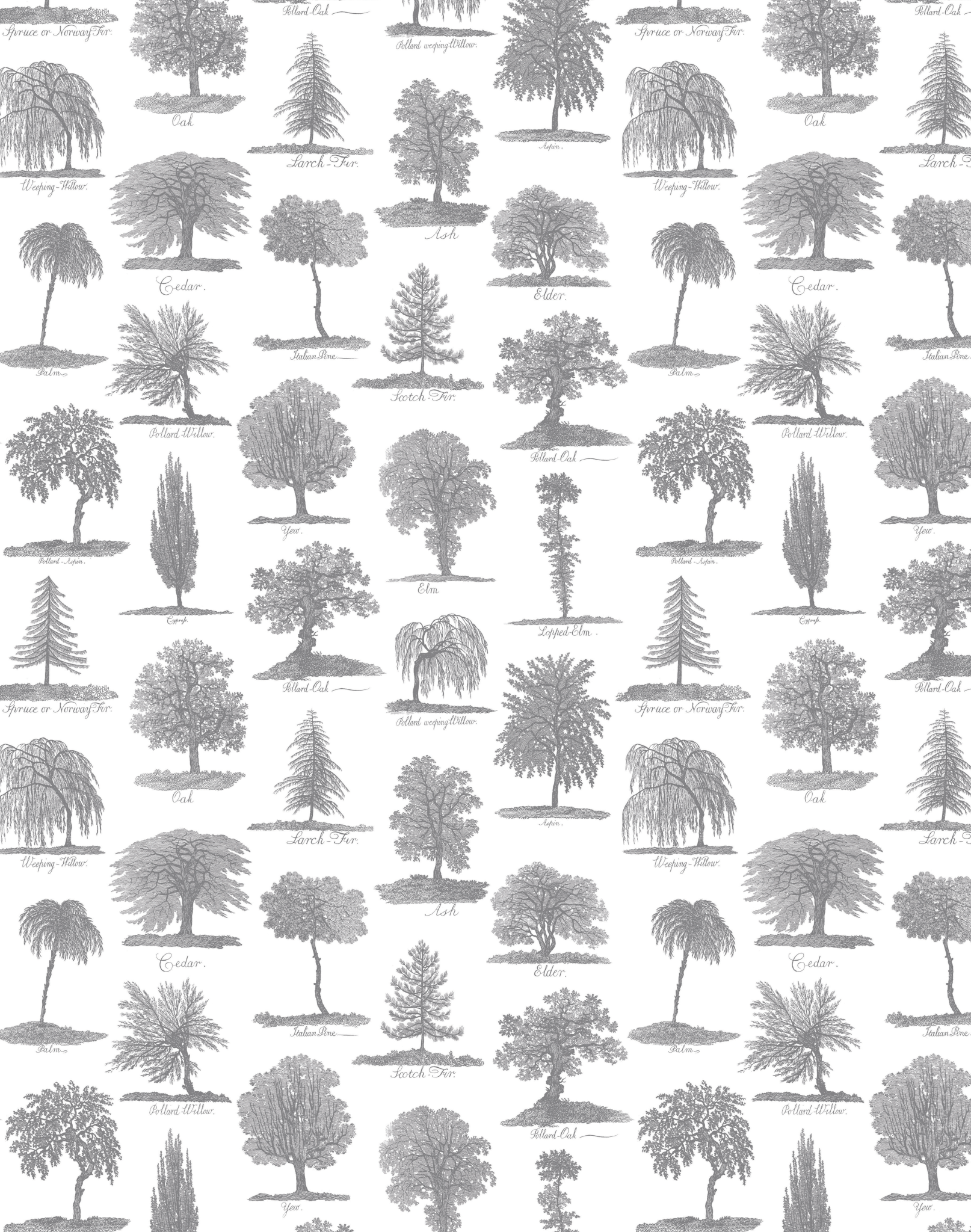 Arboreta, Charcoal – The Pattern Collective