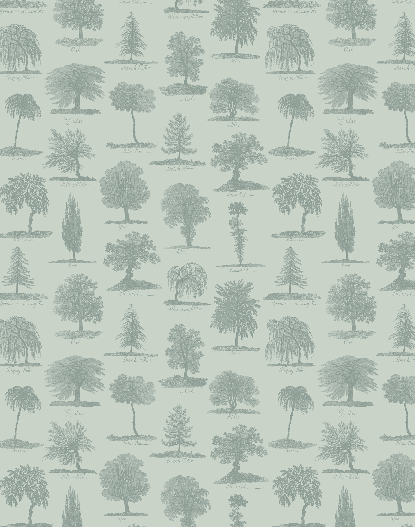 Arboreta, Sage – The Pattern Collective