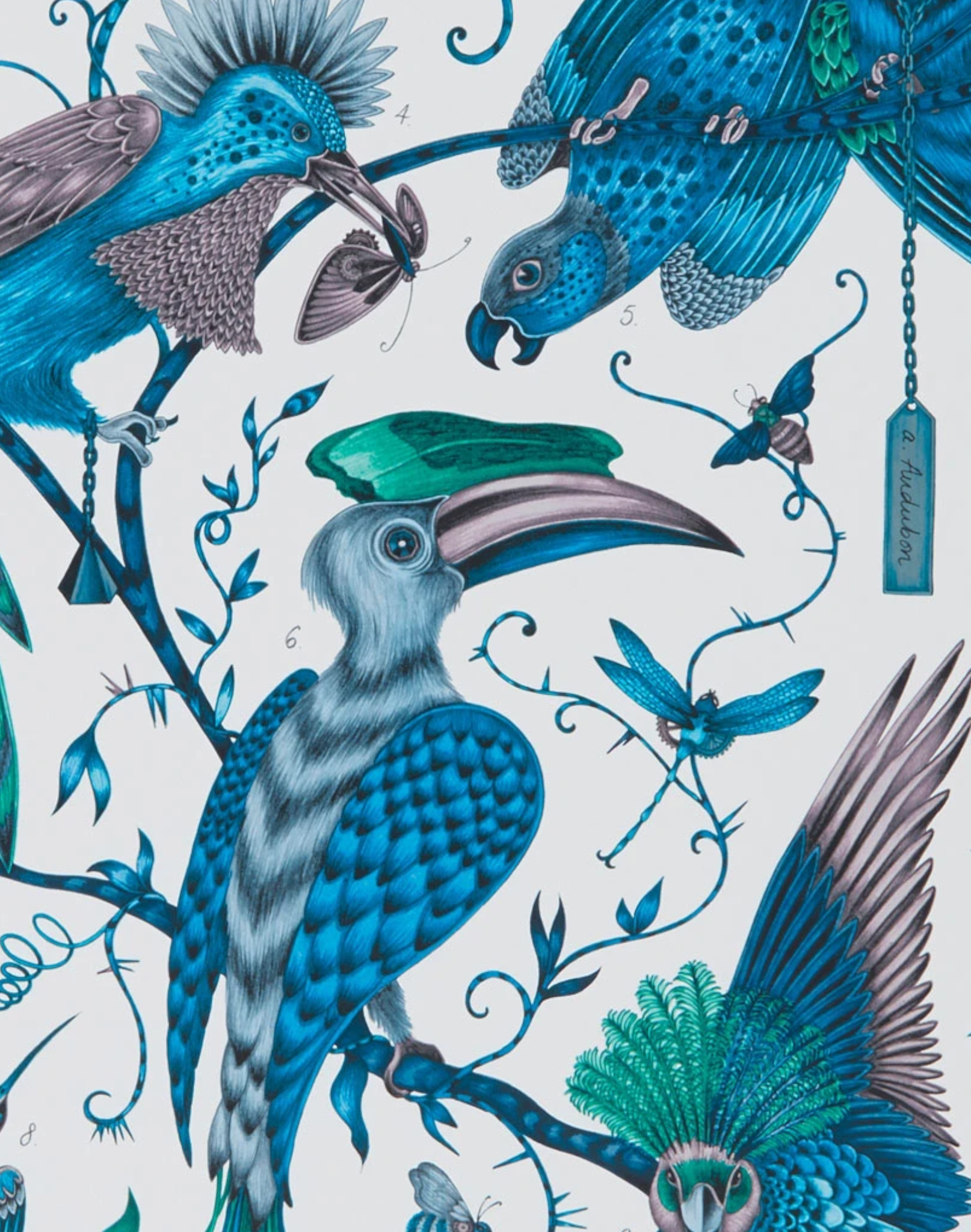 Bring your Walls to Life With Birds of America Wall Murals  Eazywallz