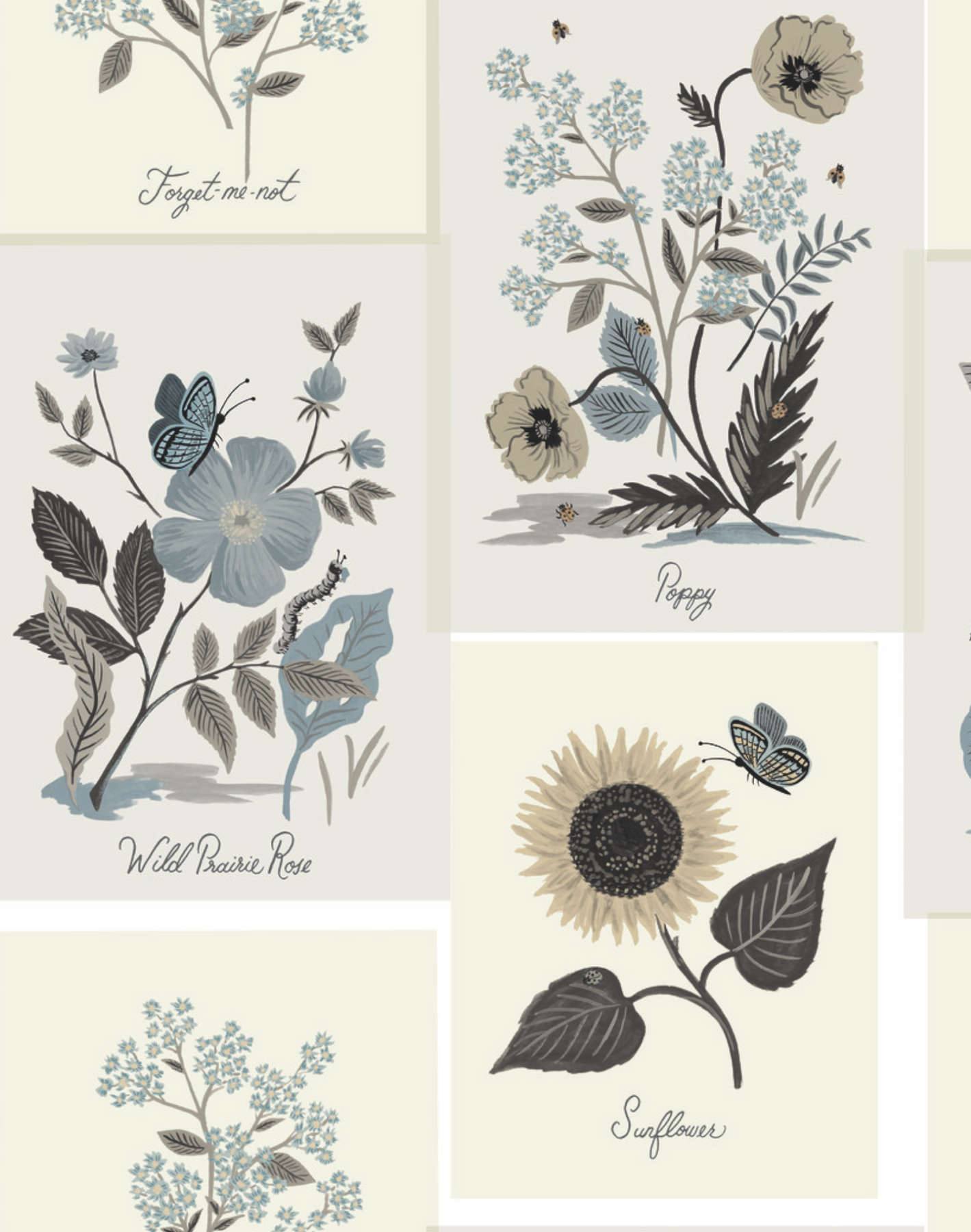 Botanical Prints Linen RP7336 – The Pattern Collective botanical-prints-linen-rp7336-the-pattern-collective